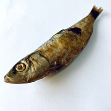 Load image into Gallery viewer, Dehydrated Pilchard
