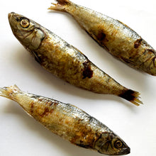 Load image into Gallery viewer, Dehydrated Pilchard
