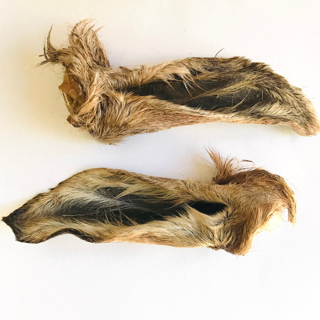 Full Fur Goat Ear