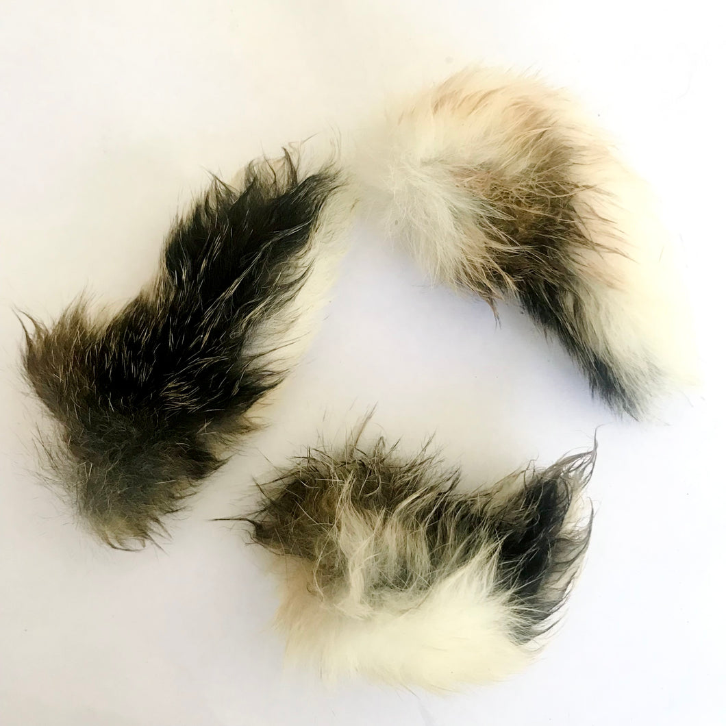 Wild Rabbit Tail