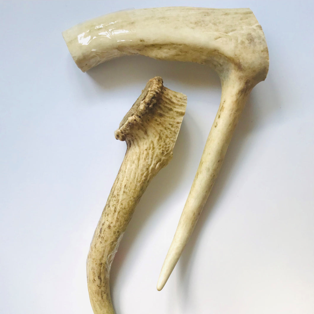 Deer Antler - Extra Large